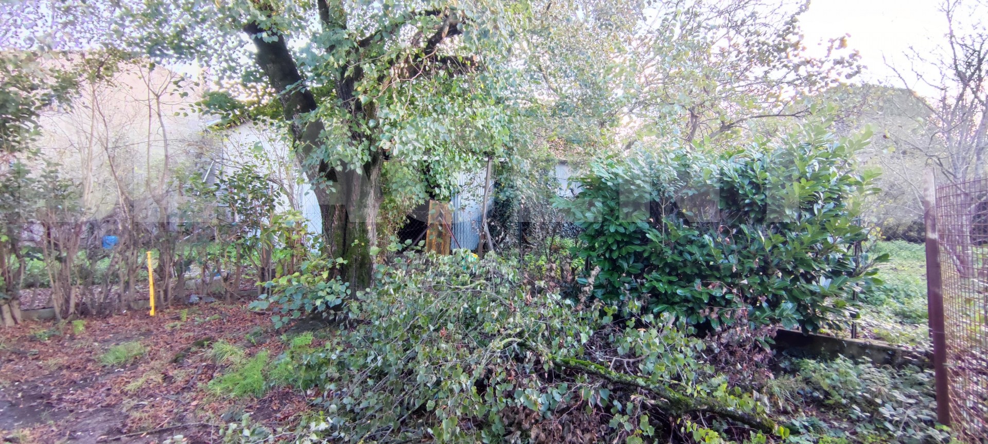 Maison 6 Pièce(s) RIEUCROS - Photo 9
