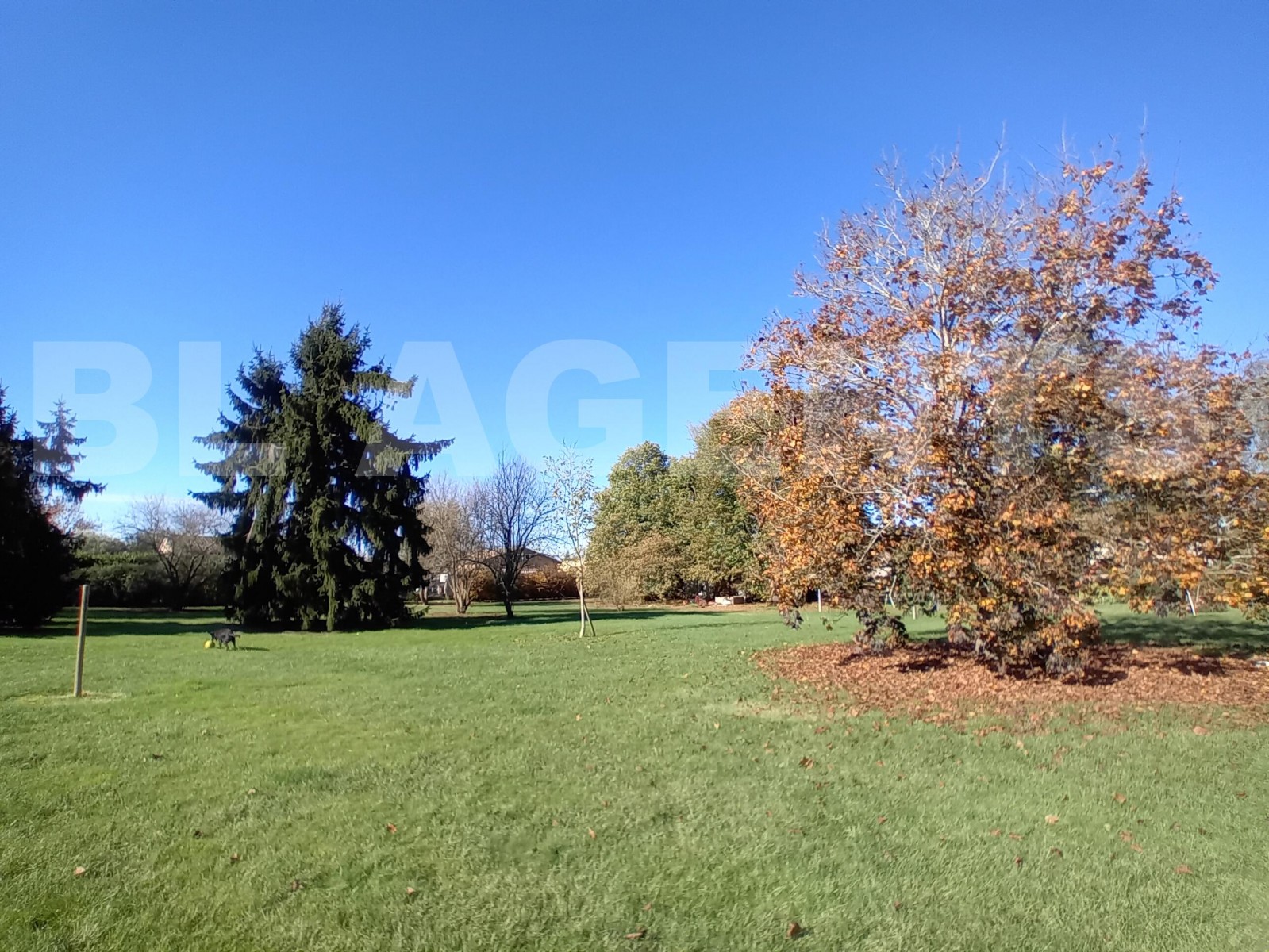 Terrain  MONTECH - Photo 1