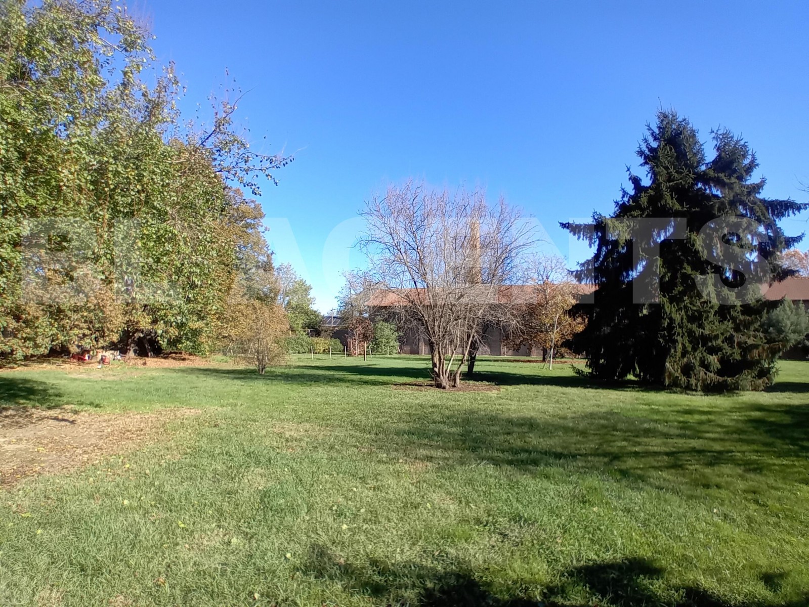 Terrain  MONTECH - Photo 3