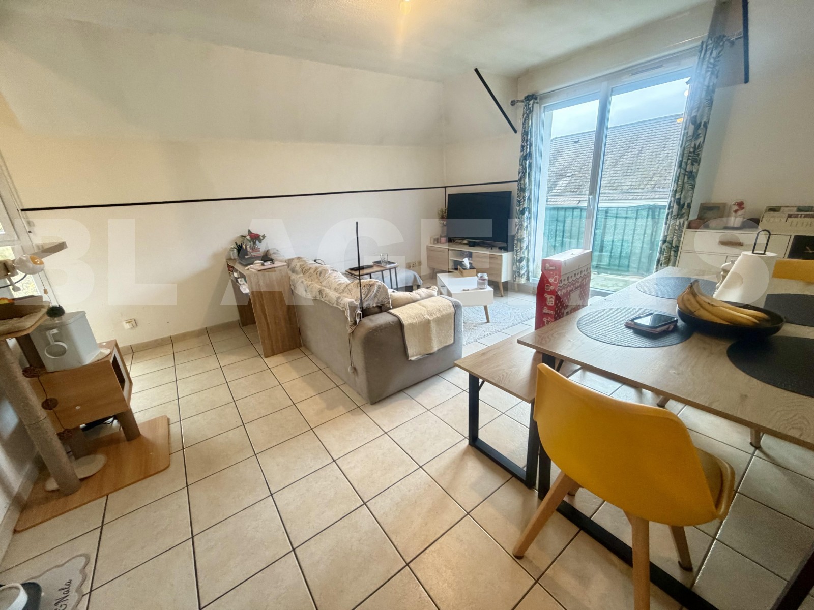 Appartement 2 Pièce(s) LA FERTE-GAUCHER - Photo 4