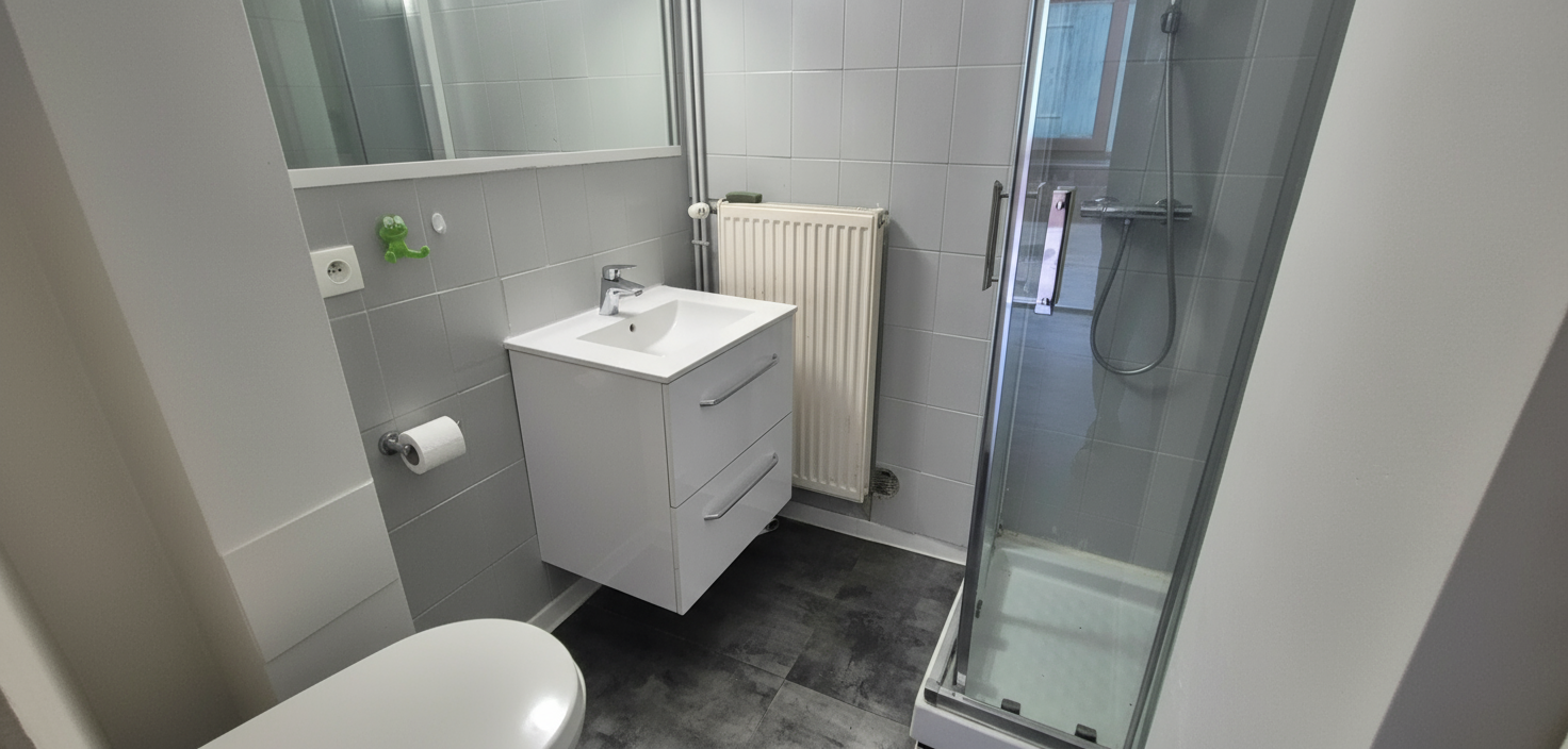 Appartement 3 Pièce(s) MARMOUTIER - Photo 5