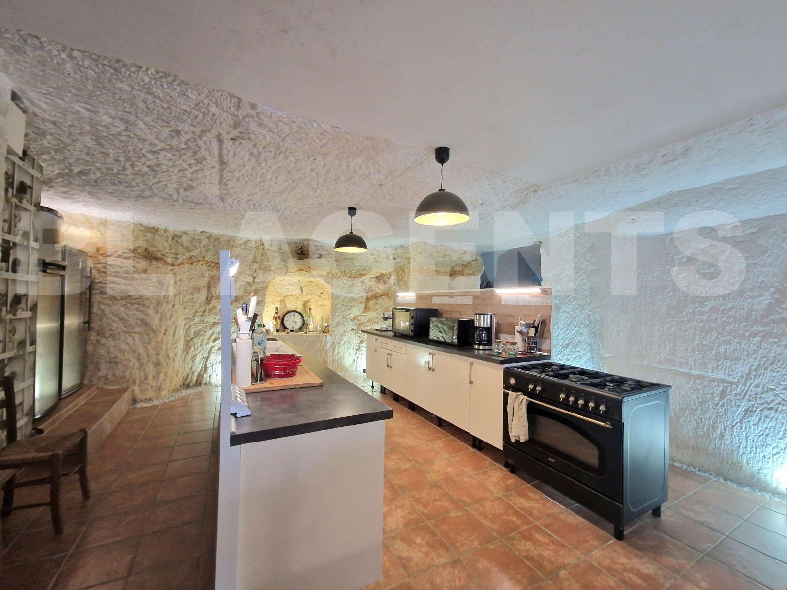 Maison 8 Pièce(s) LANGEAIS - Photo 7