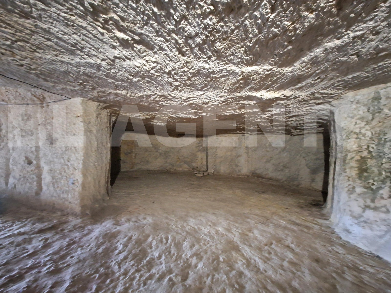 Maison 8 Pièce(s) LANGEAIS - Photo 20