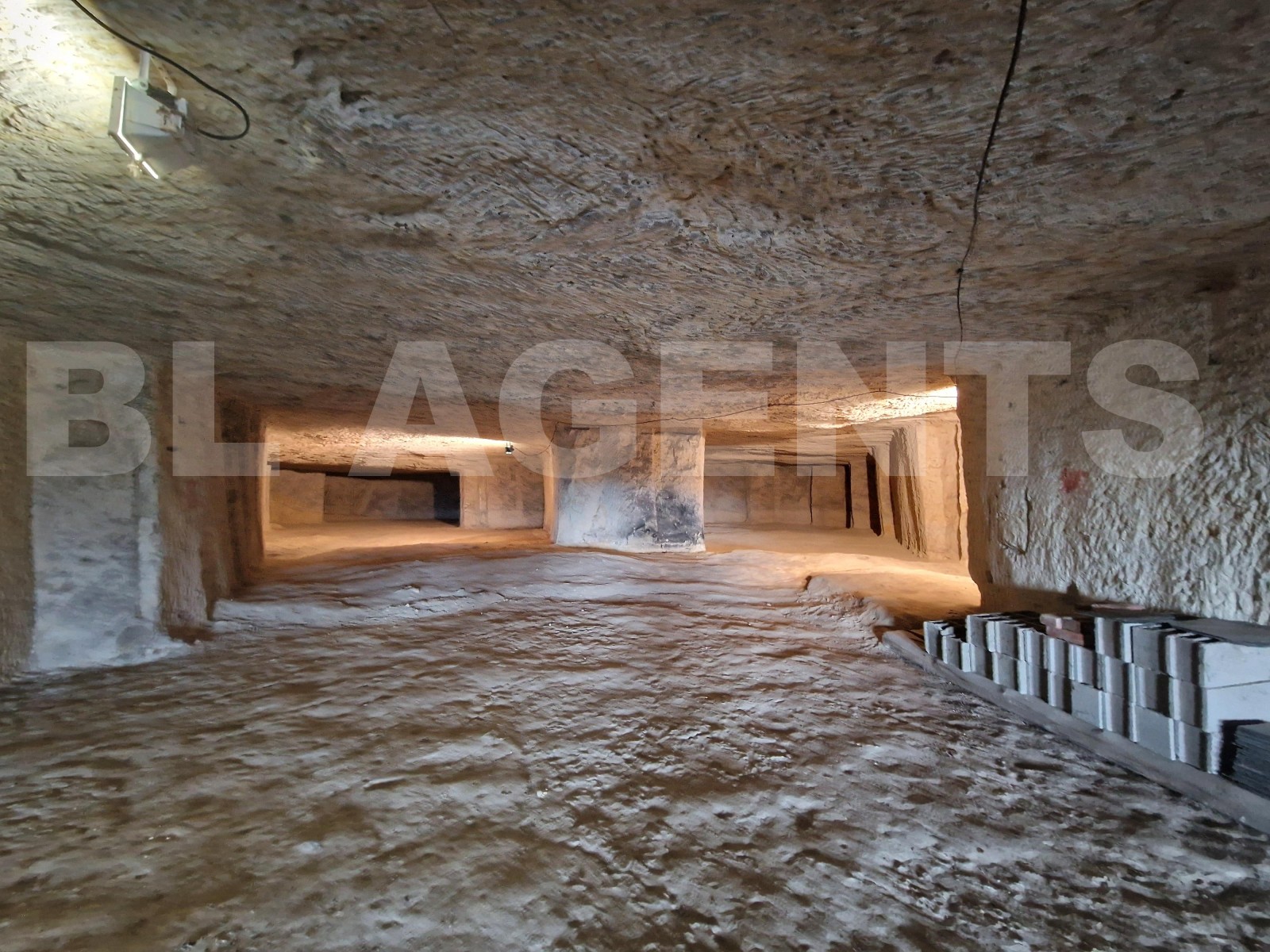Maison 8 Pièce(s) LANGEAIS - Photo 21