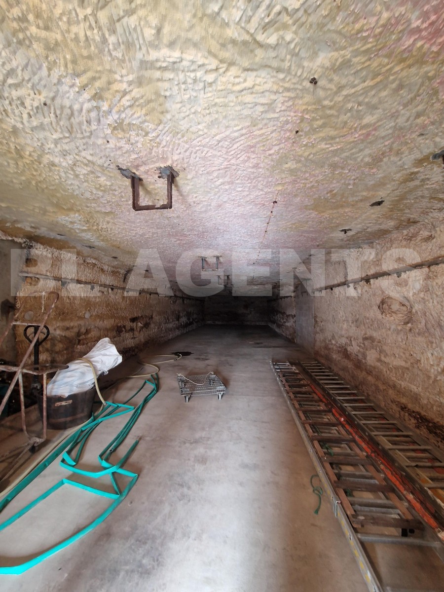 Maison 8 Pièce(s) LANGEAIS - Photo 23