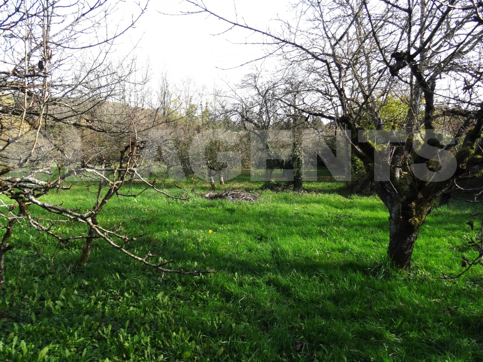 Maison 6 Pièce(s) CRAVANT - Photo 10