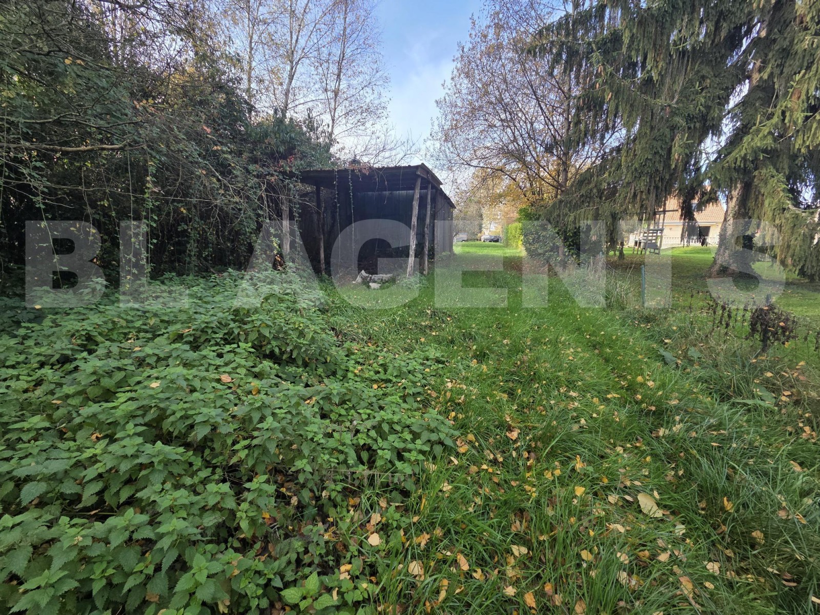 Terrain  CERANS-FOULLETOURTE - Photo 1