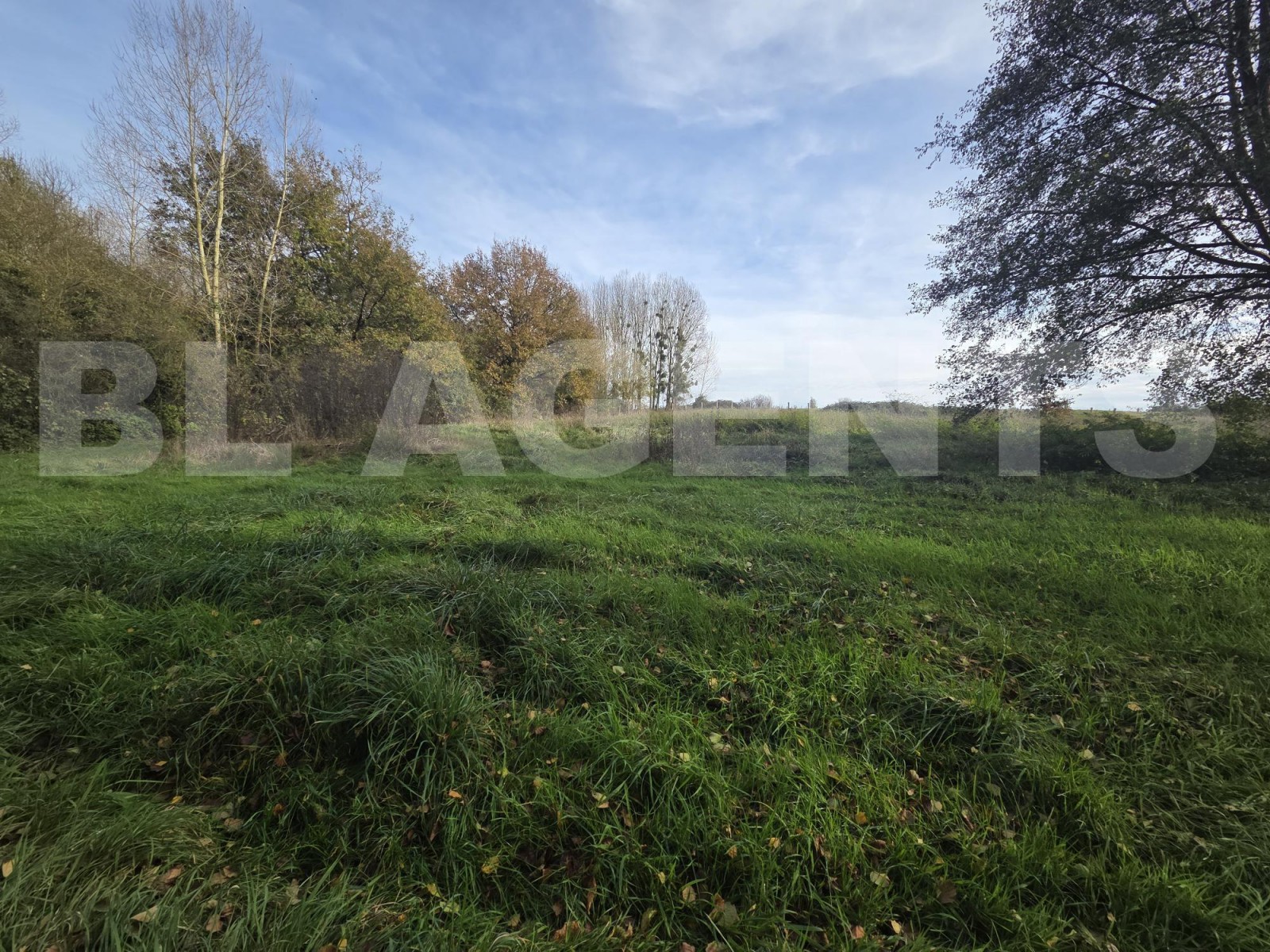 Terrain  CERANS-FOULLETOURTE - Photo 2