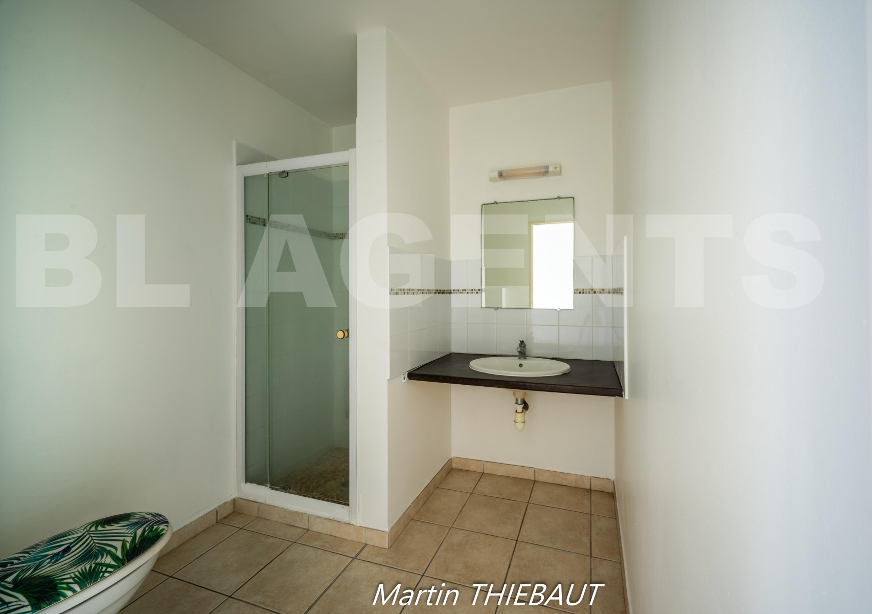 Appartement 2 Pièce(s) LES TROIS-ILETS - Photo 8