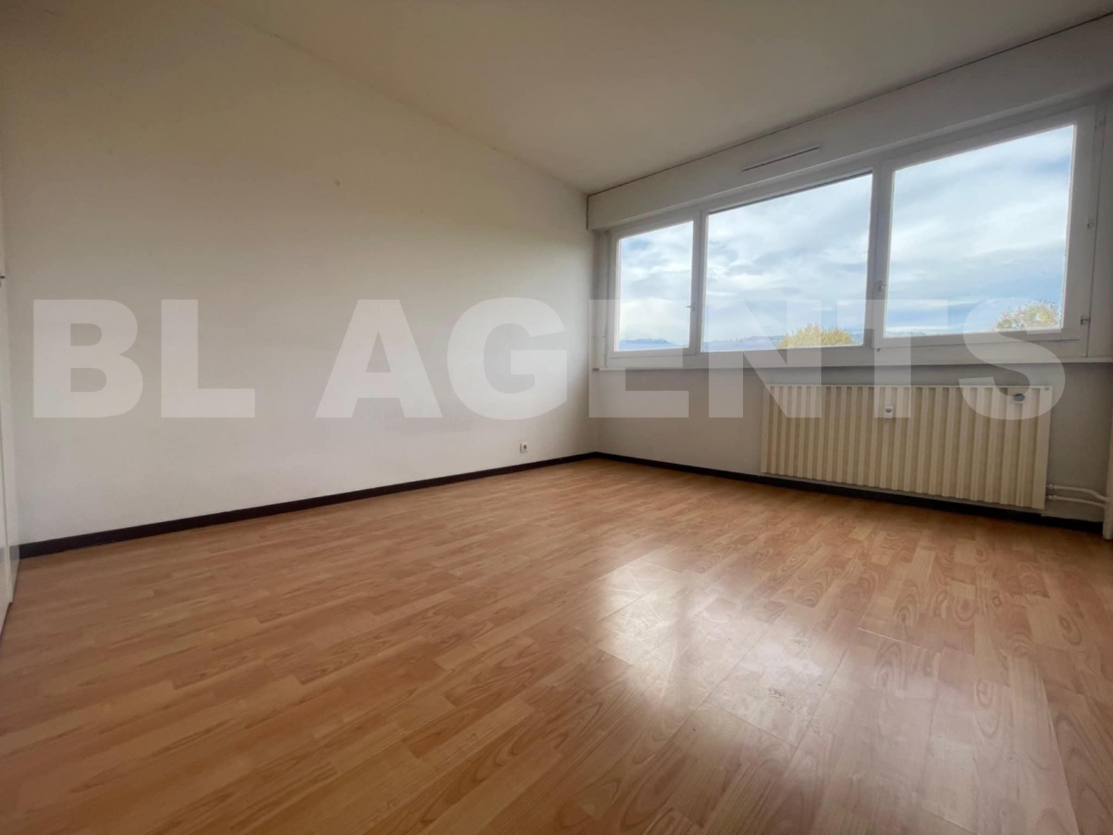 Appartement 4 Pièce(s) FERNEY-VOLTAIRE - Photo 7