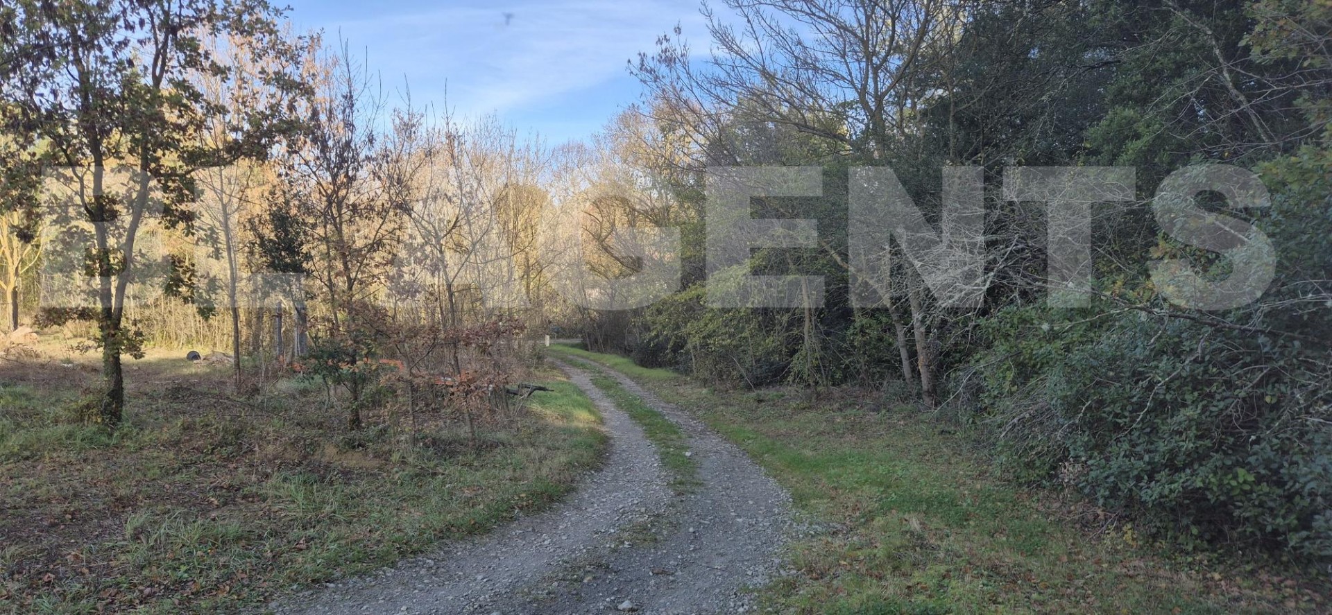Terrain  VILLAR-SAINT-ANSELME - Photo 4