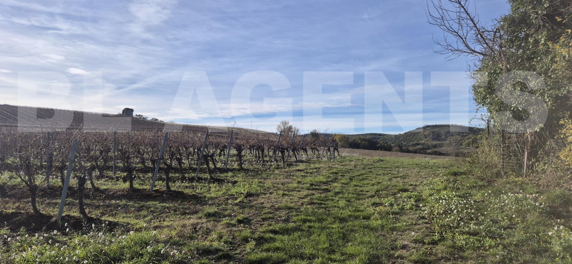 Terrain  VILLAR-SAINT-ANSELME - Photo 5