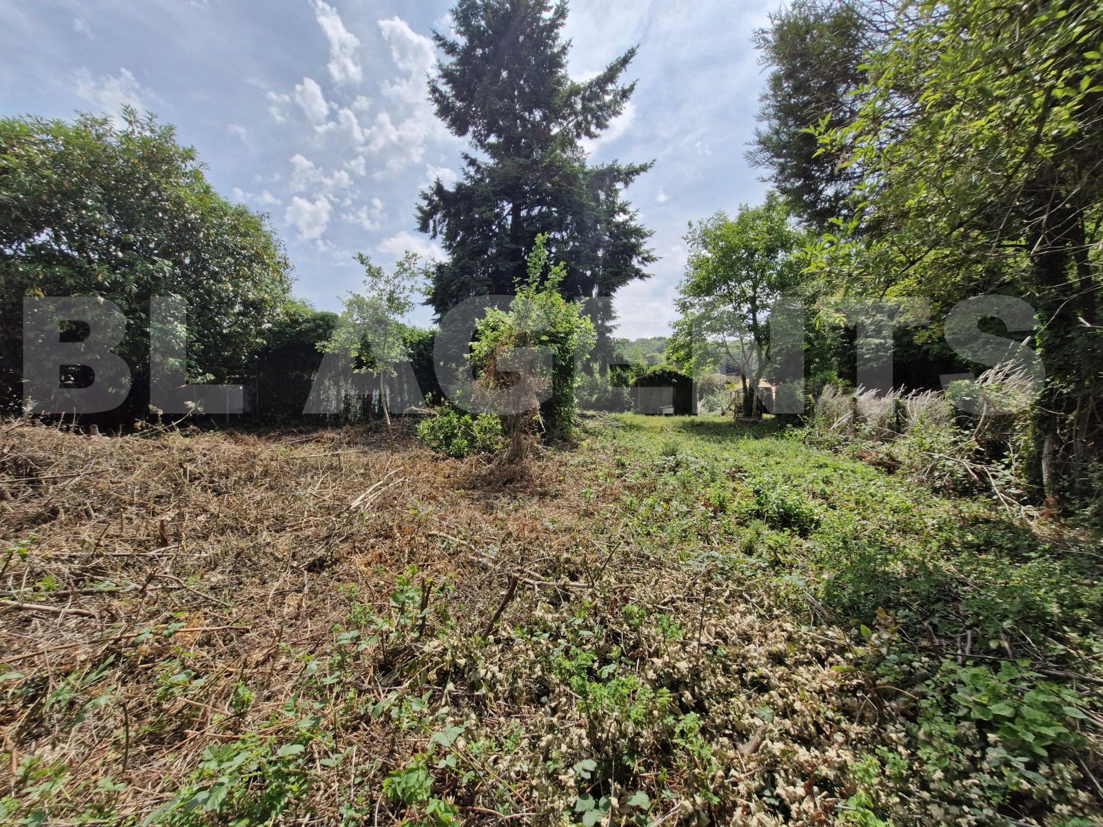 Terrain  GRISELLES - Photo 3