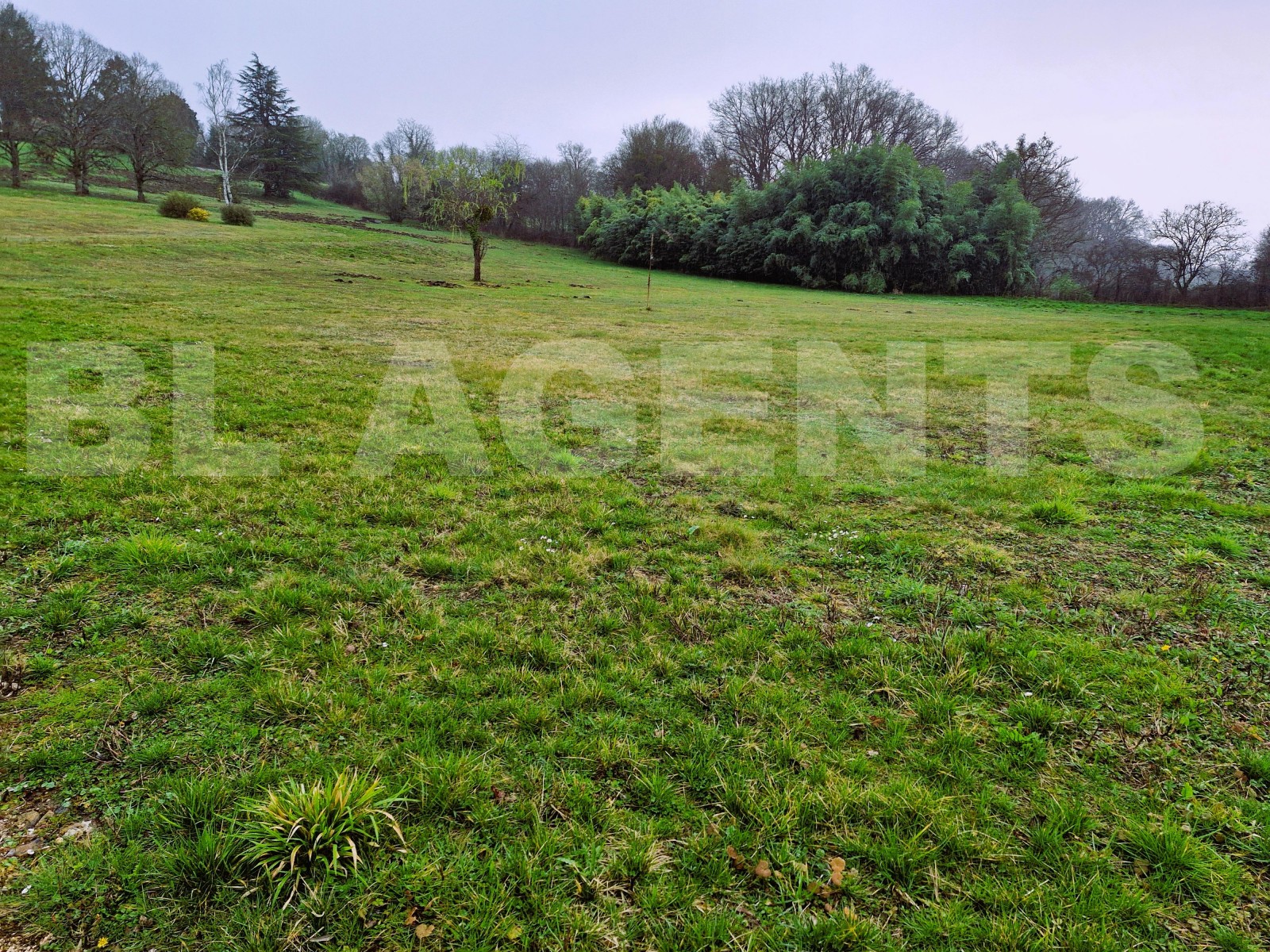 Terrain  CONFLANS-SUR-LOING - Photo 1