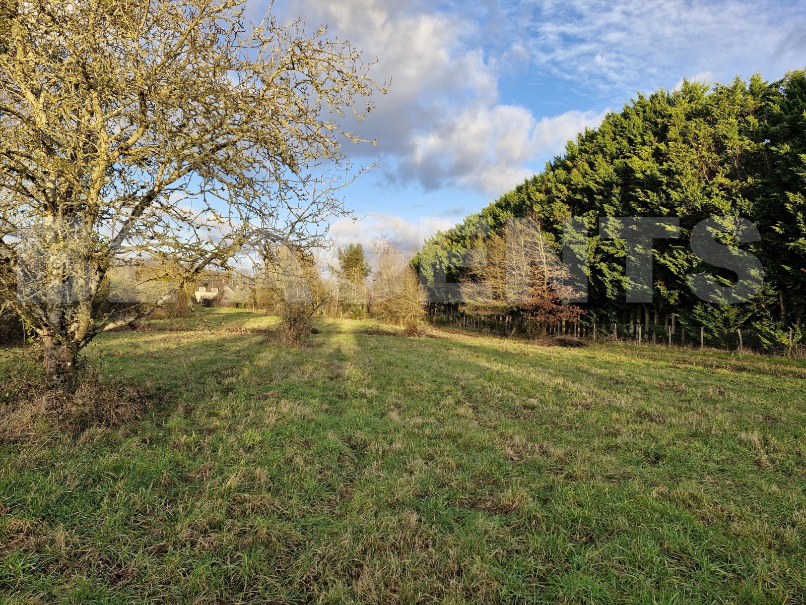 Terrain  SAINT-AIGNAN-LE-JAILLARD - Photo 3