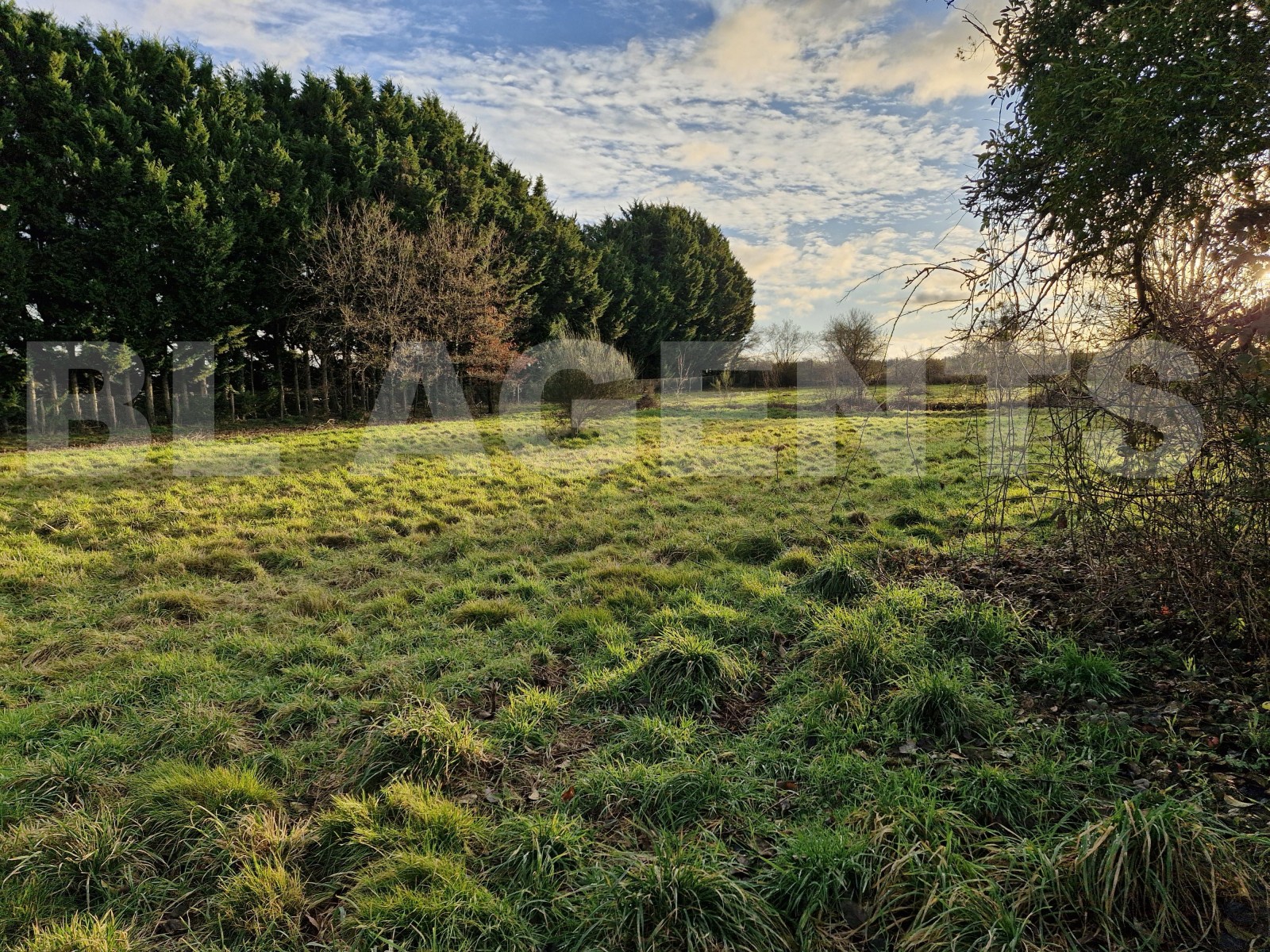 Terrain  SAINT-AIGNAN-LE-JAILLARD - Photo 4