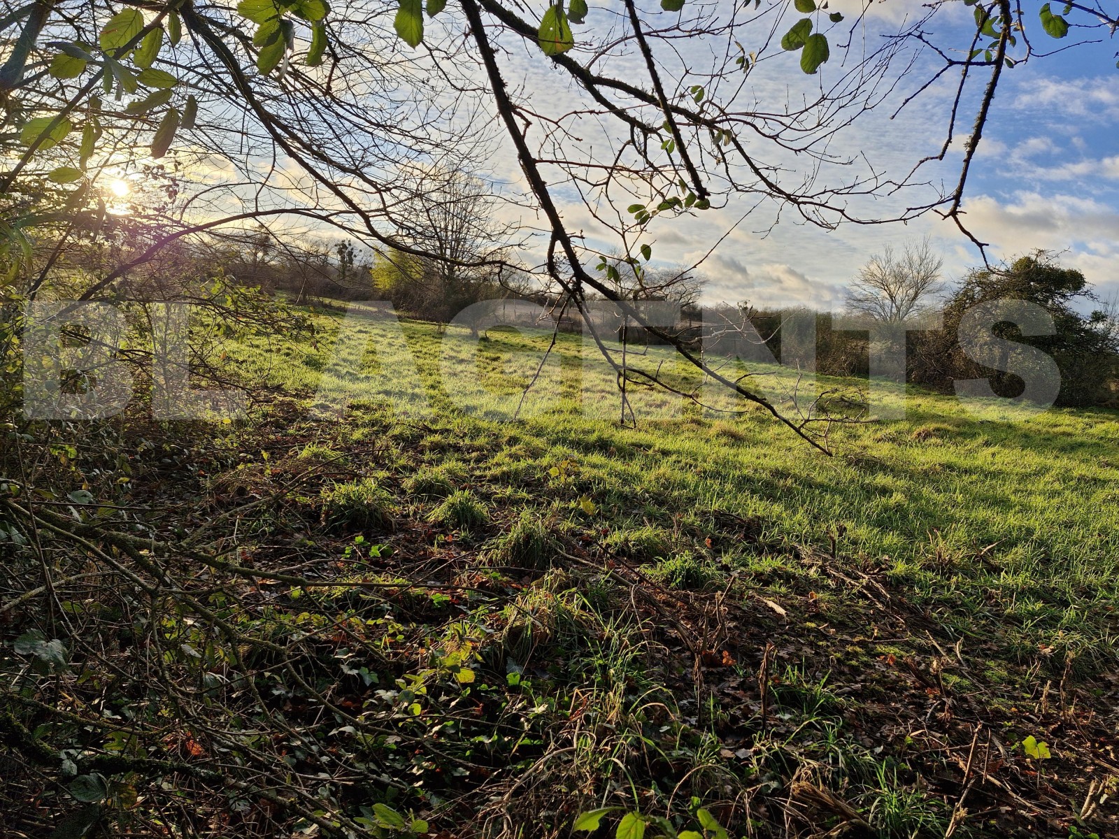 Terrain  SAINT-AIGNAN-LE-JAILLARD - Photo 5