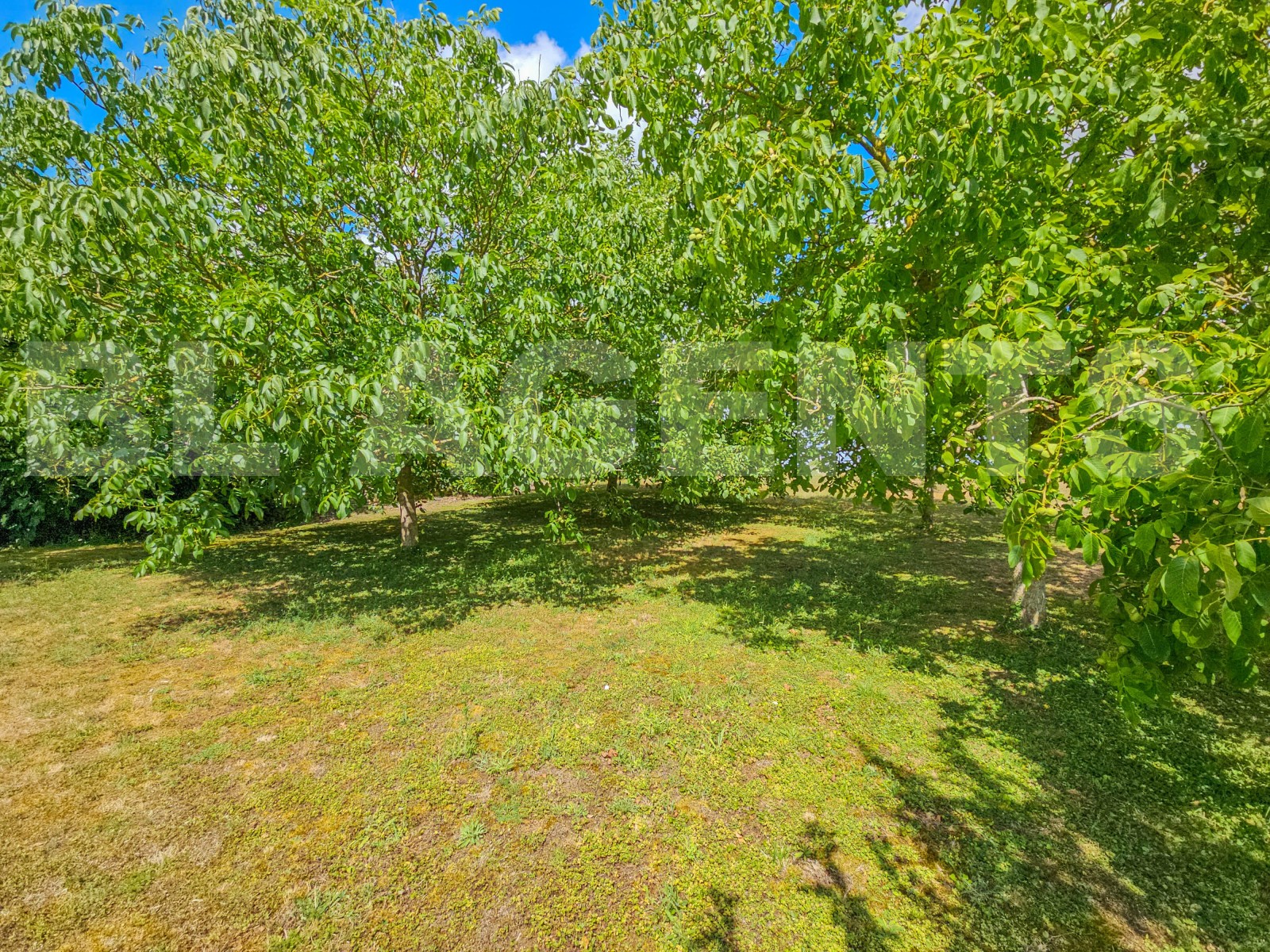 Propriété 5 Pièce(s) JAULNAY - Photo 14