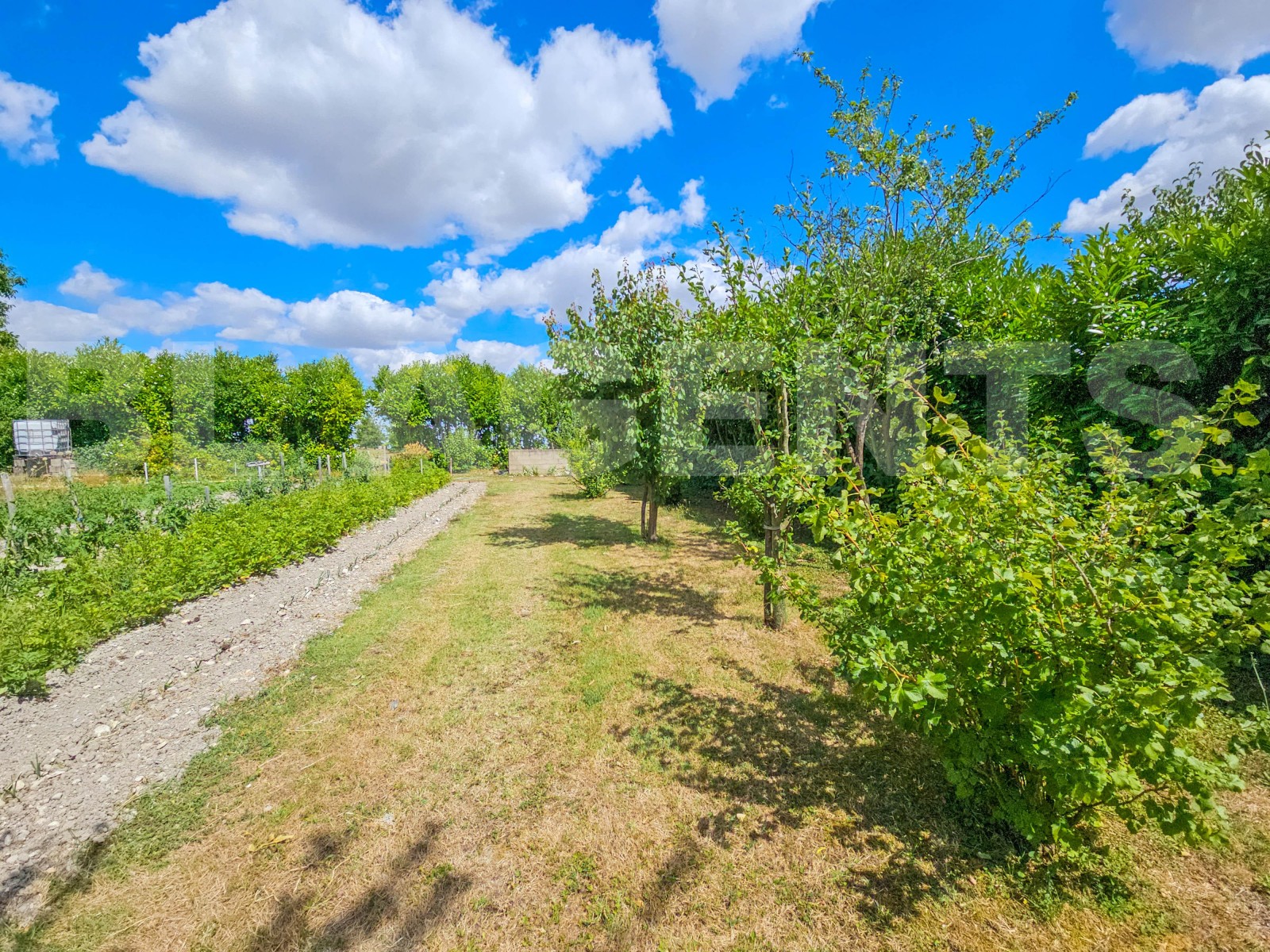 Propriété 5 Pièce(s) JAULNAY - Photo 17