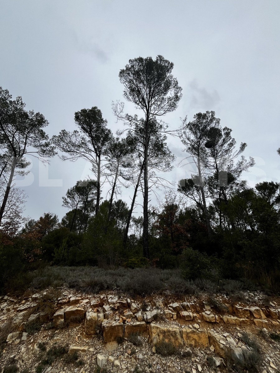 Terrain  TOURVES - Photo 1