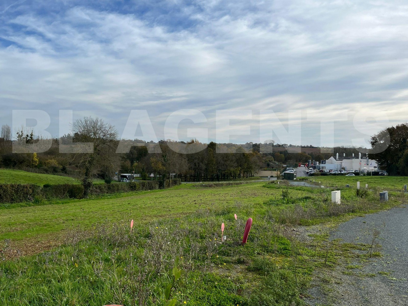 Terrain  MOUCHAMPS - Photo 1