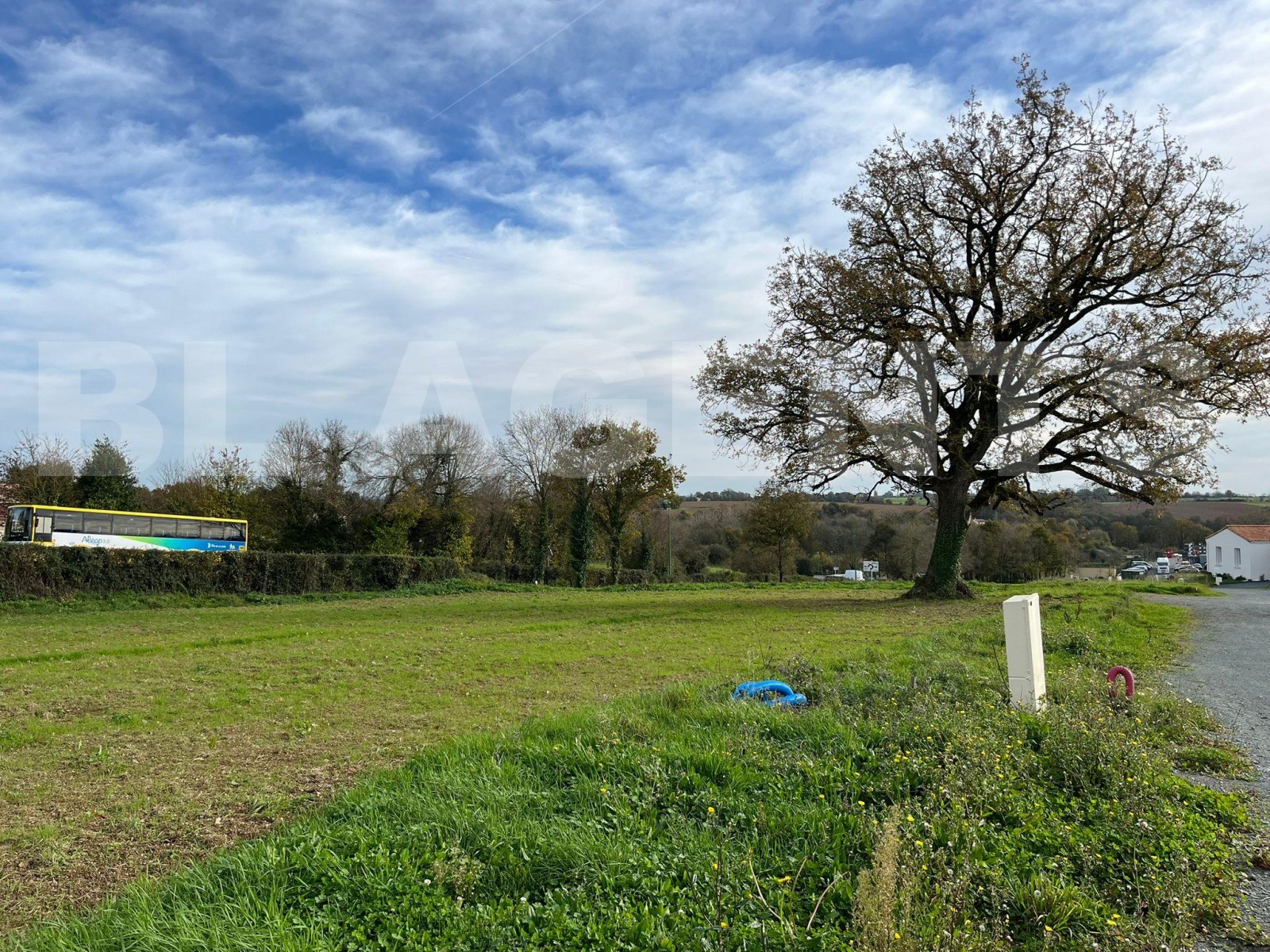 Terrain  MOUCHAMPS - Photo 2