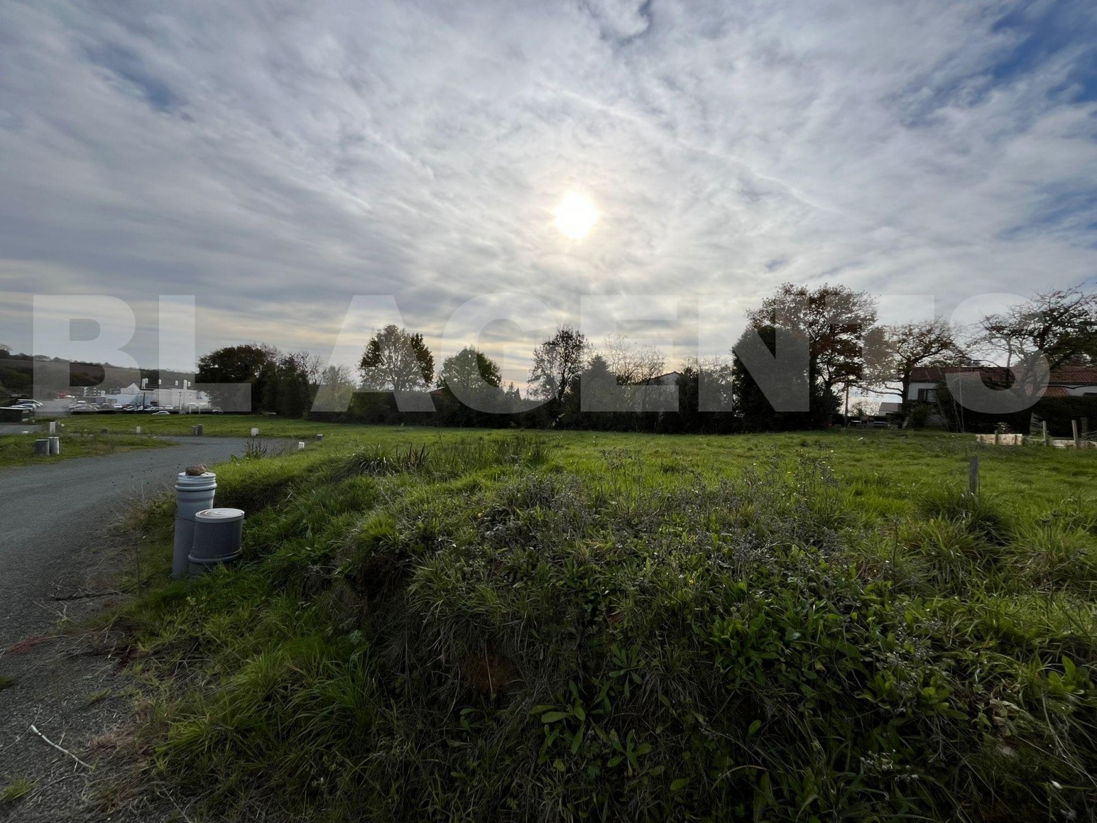 Terrain  MOUCHAMPS - Photo 1