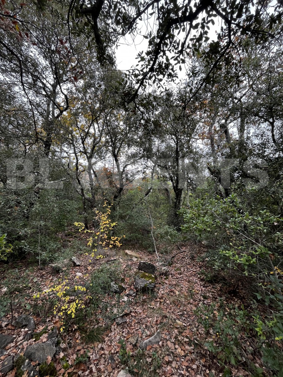 Terrain  TOURVES - Photo 1