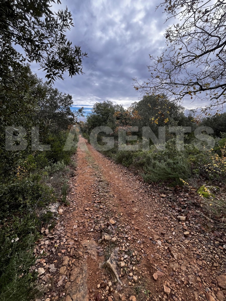 Terrain  TOURVES - Photo 2