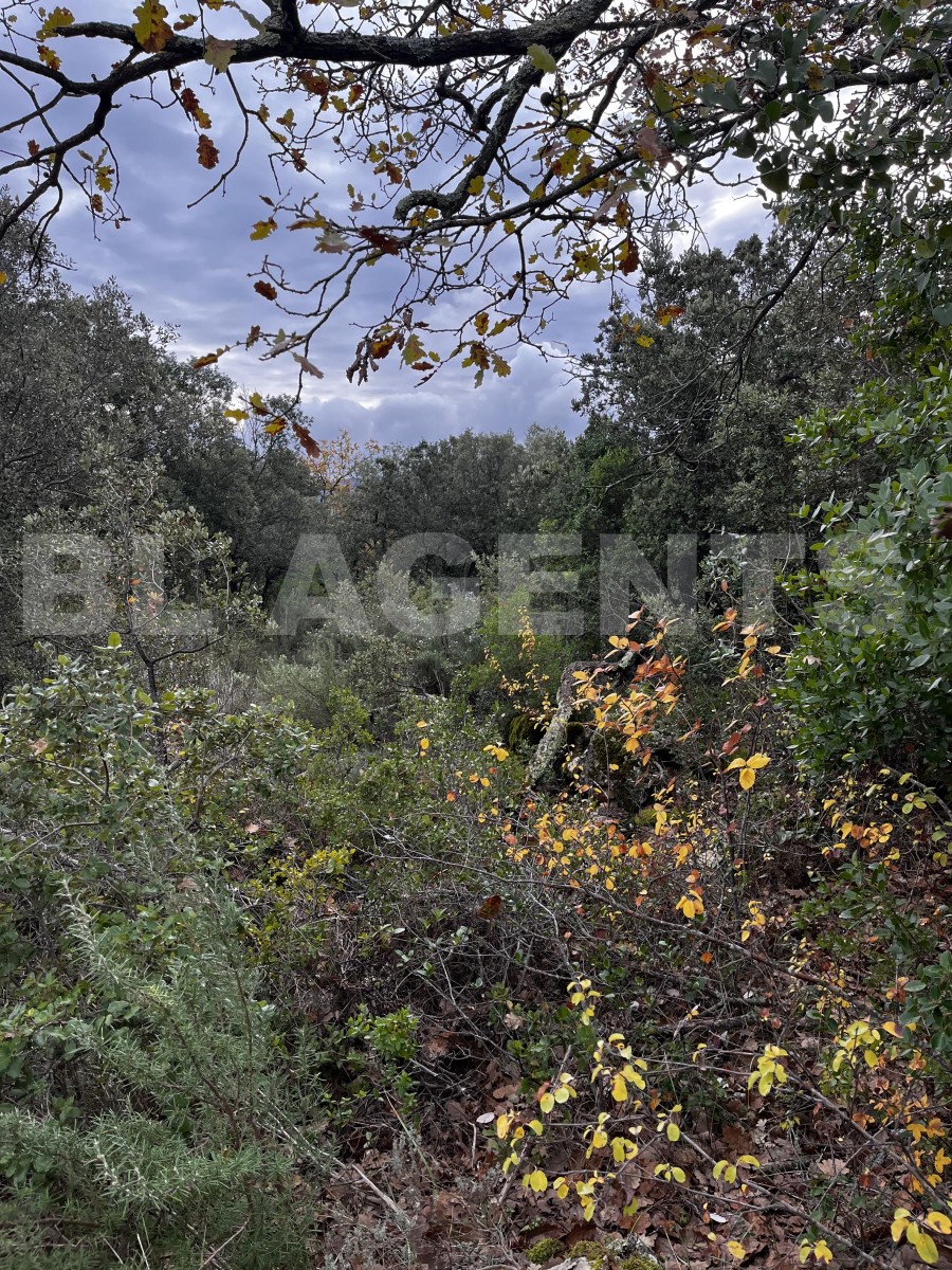 Terrain  TOURVES - Photo 3