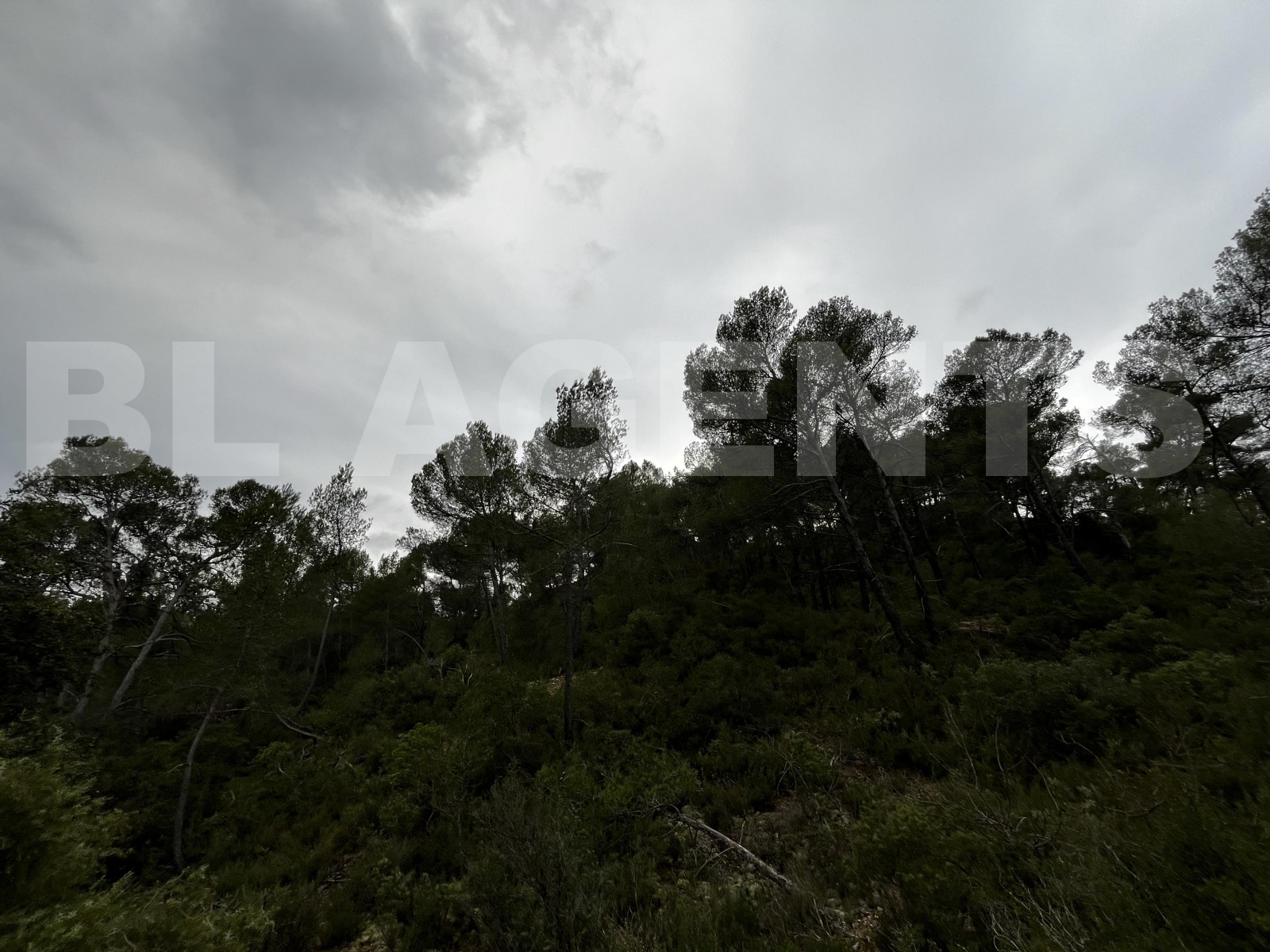 Terrain  TOURVES - Photo 1