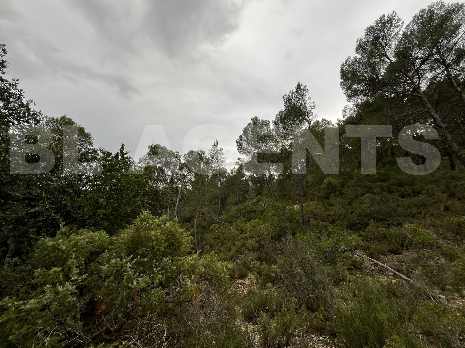 Terrain  TOURVES - Photo 2