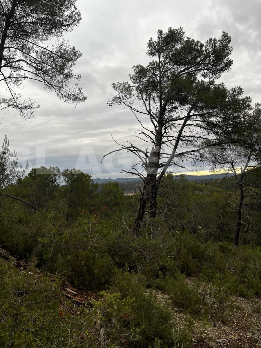Terrain  TOURVES - Photo 3