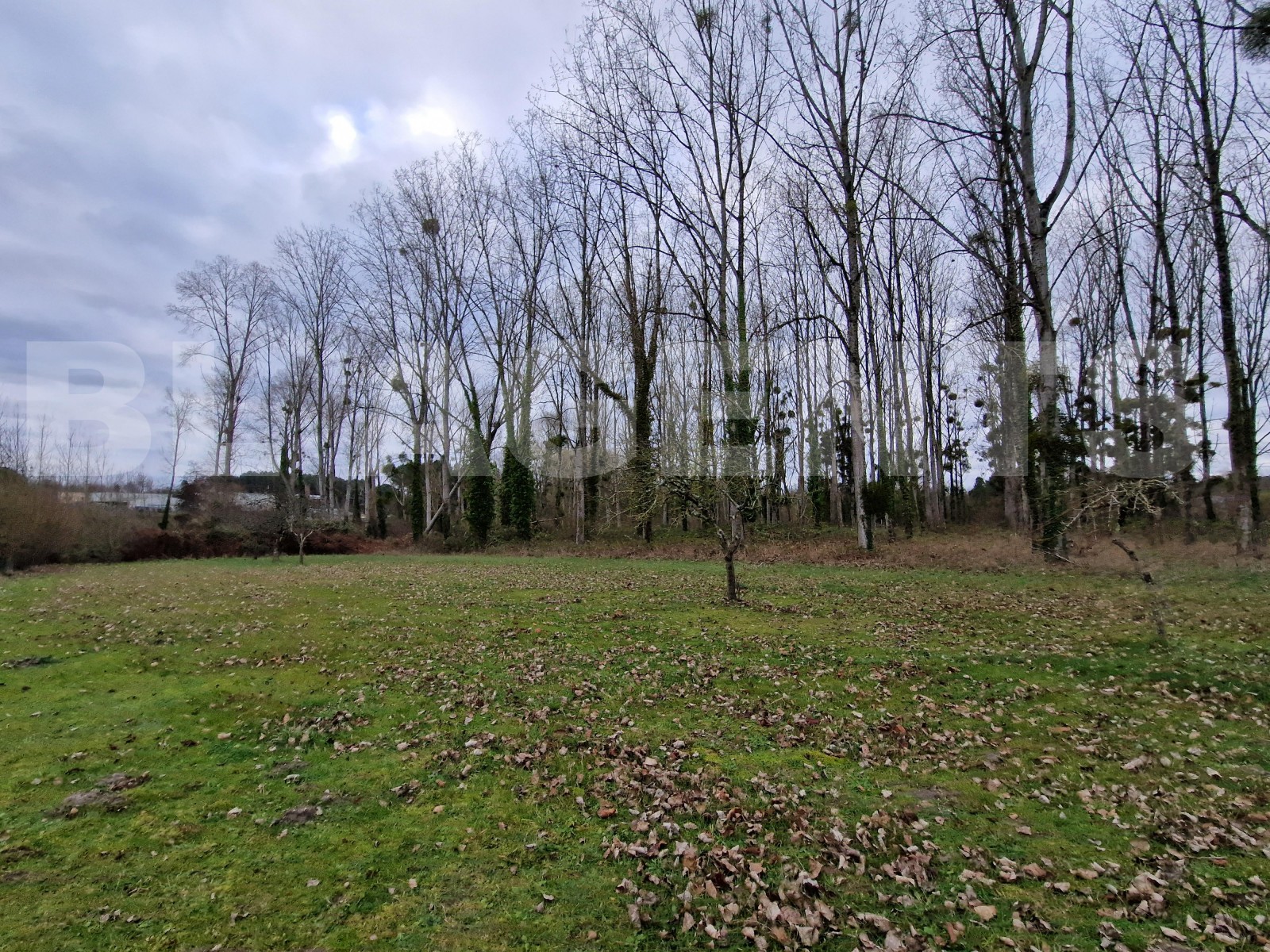 Maison 5 Pièce(s) NOYANT - Photo 16