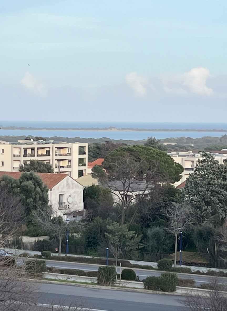 Appartement 4 Pièce(s) BORGO - Photo 13