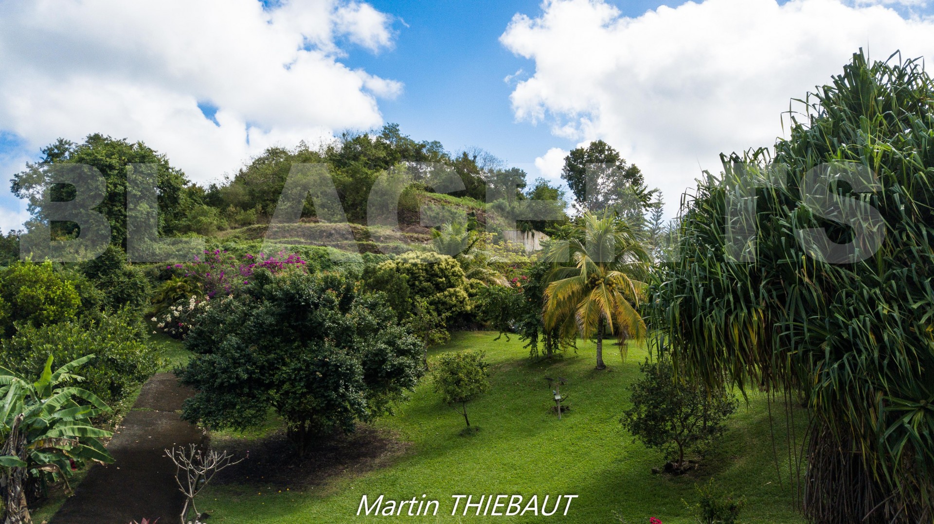 Terrain  LE MARIN - Photo 4