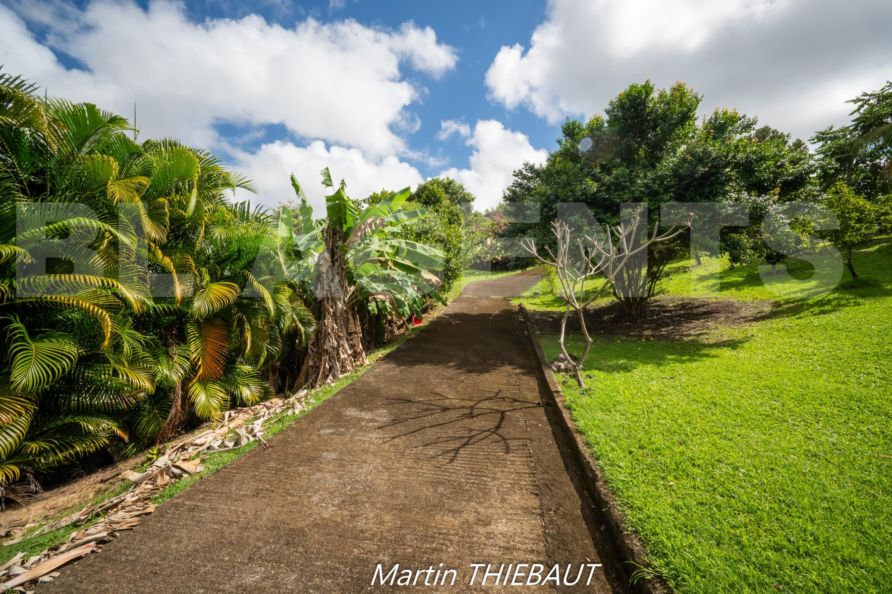Terrain  LE MARIN - Photo 6