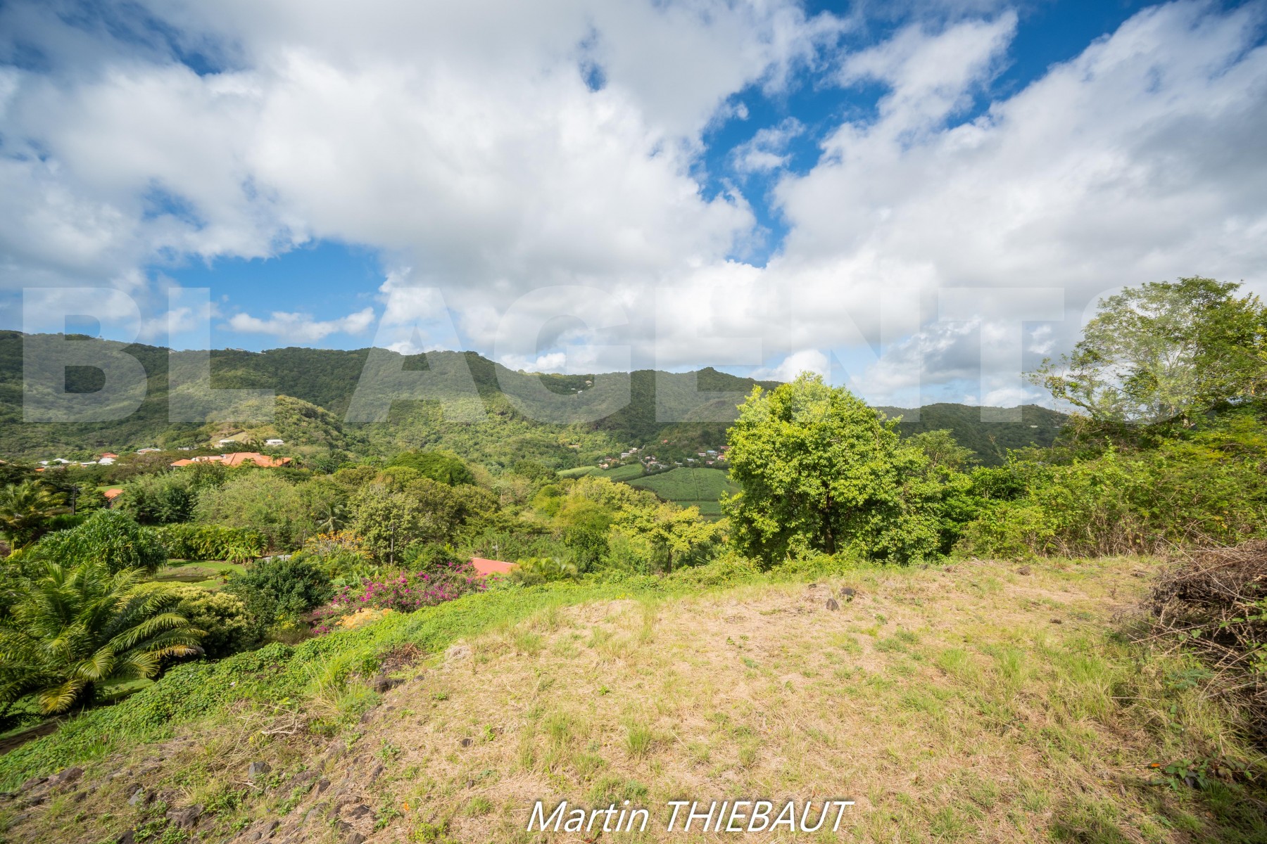 Terrain  LE MARIN - Photo 7
