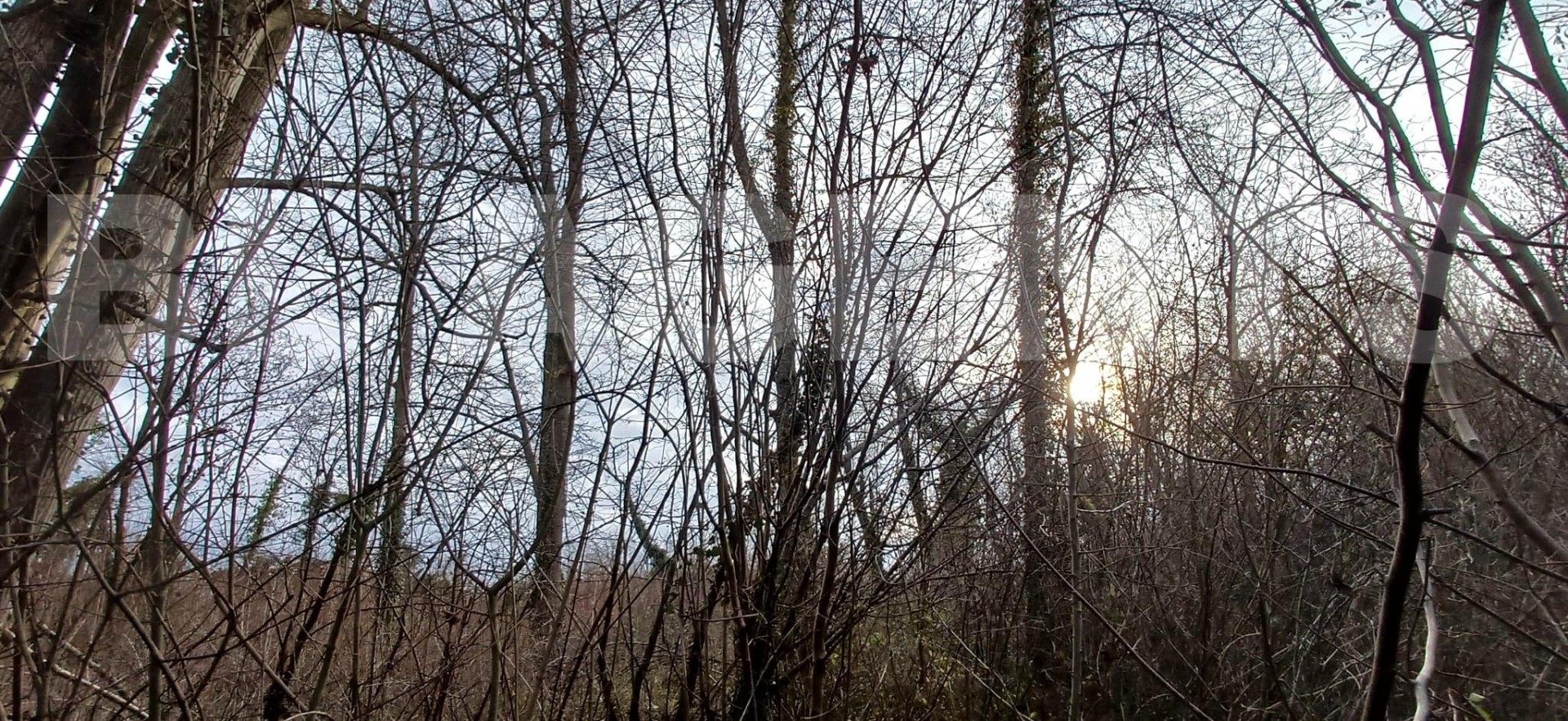 Terrain  GERMIGNY-L'EVEQUE - Photo 3