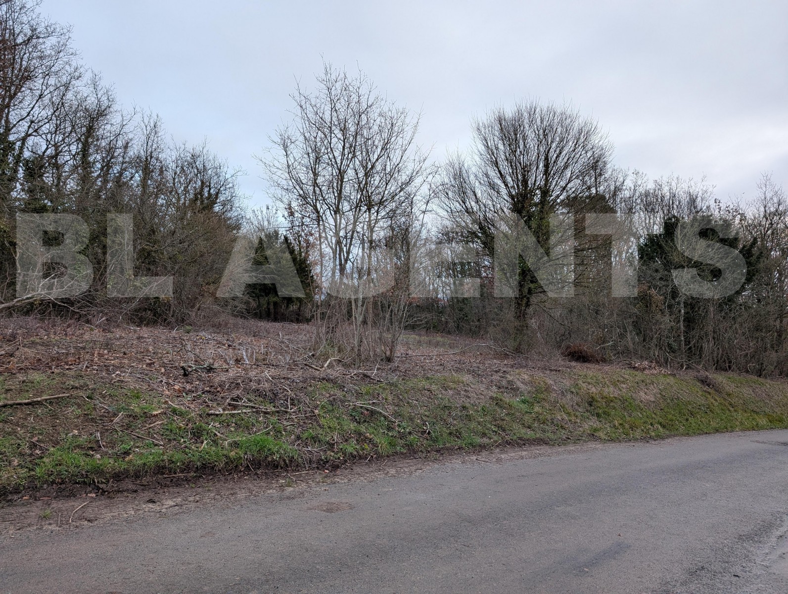 Terrain  VIDELLES - Photo 3