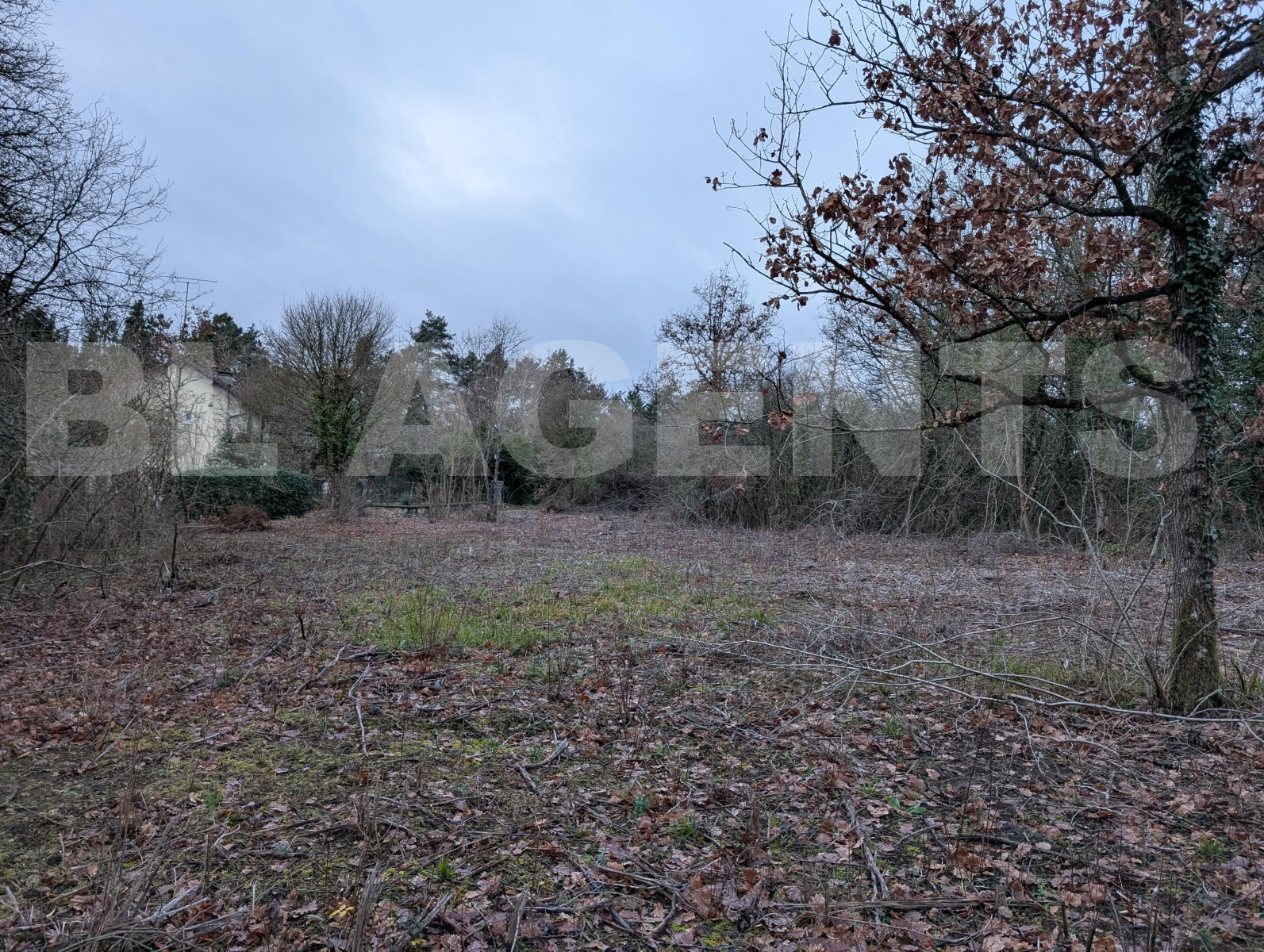Terrain  VIDELLES - Photo 3