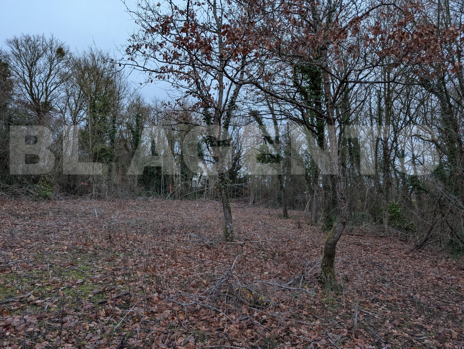 Terrain  VIDELLES - Photo 4