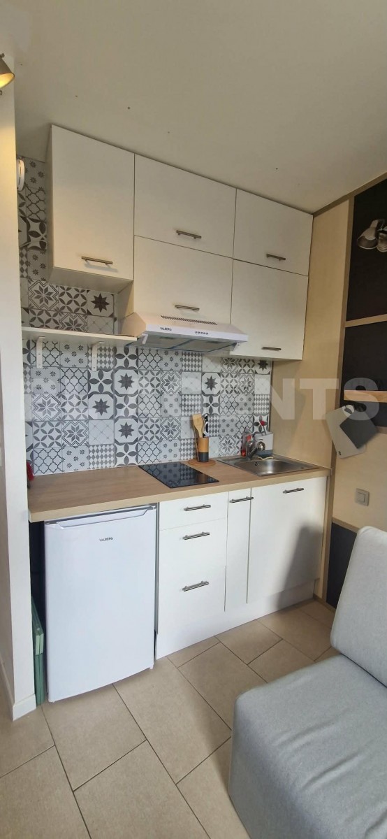 Appartement 1 Pièce(s) SAINT-CYPRIEN - Photo 5
