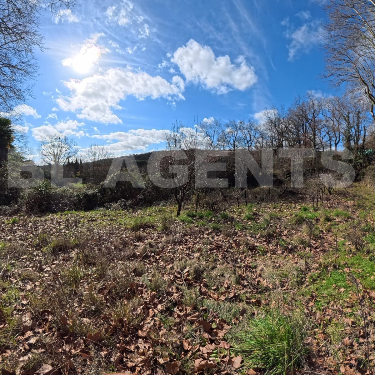 Terrain  CENNE-MONESTIES - Photo 1