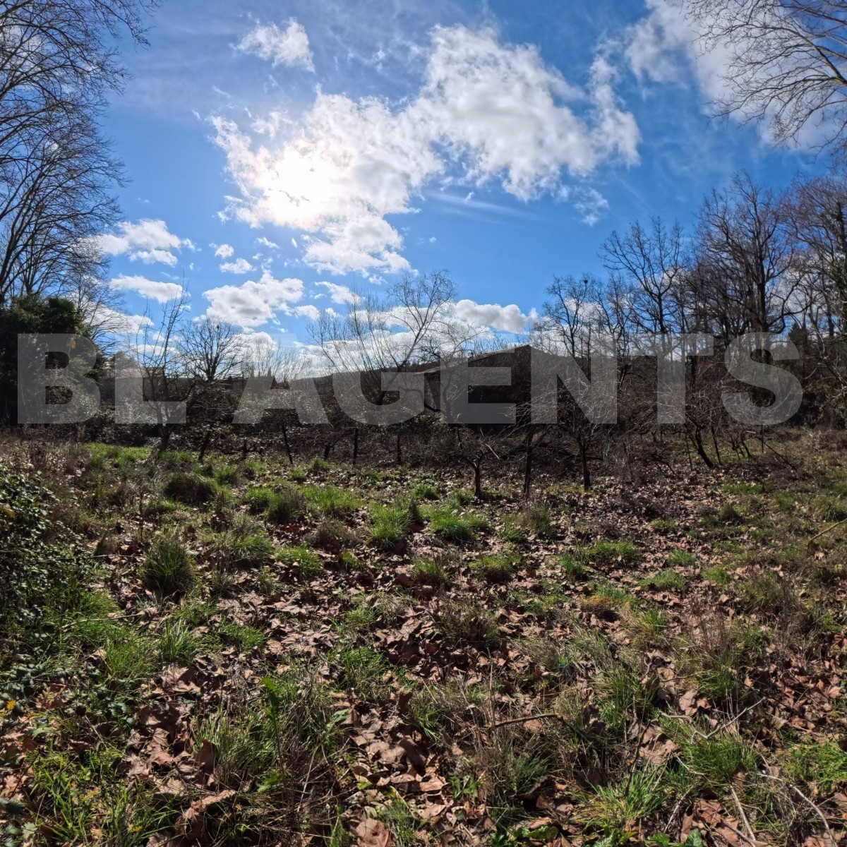 Terrain  CENNE-MONESTIES - Photo 3