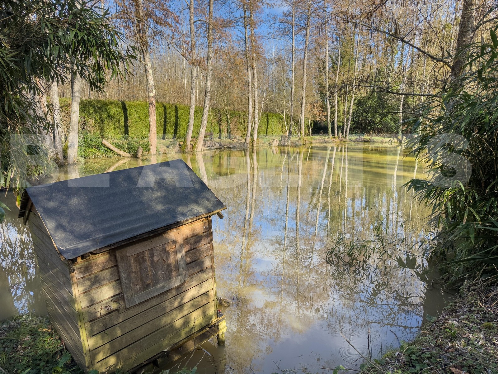 Terrain  CROUY-SUR-OURCQ - Photo 4