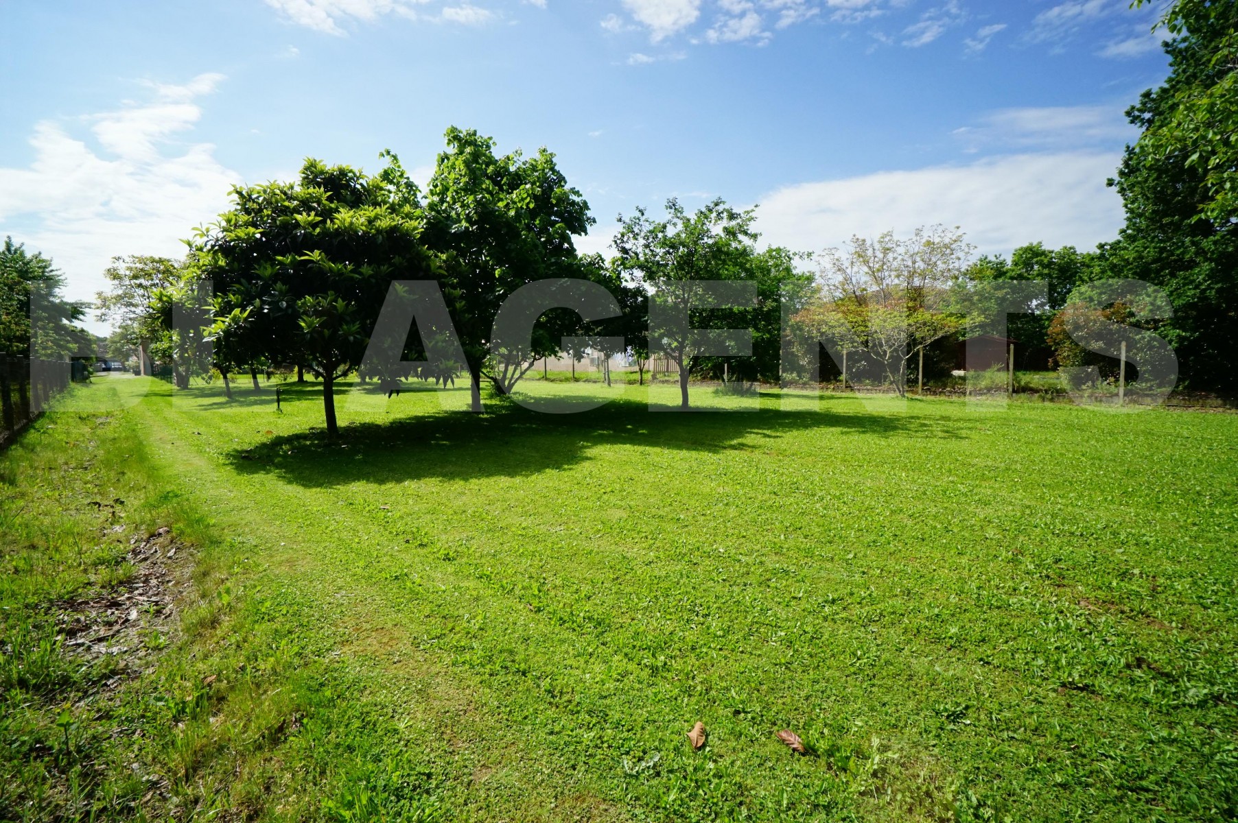 Terrain TOURNEFEUILLE