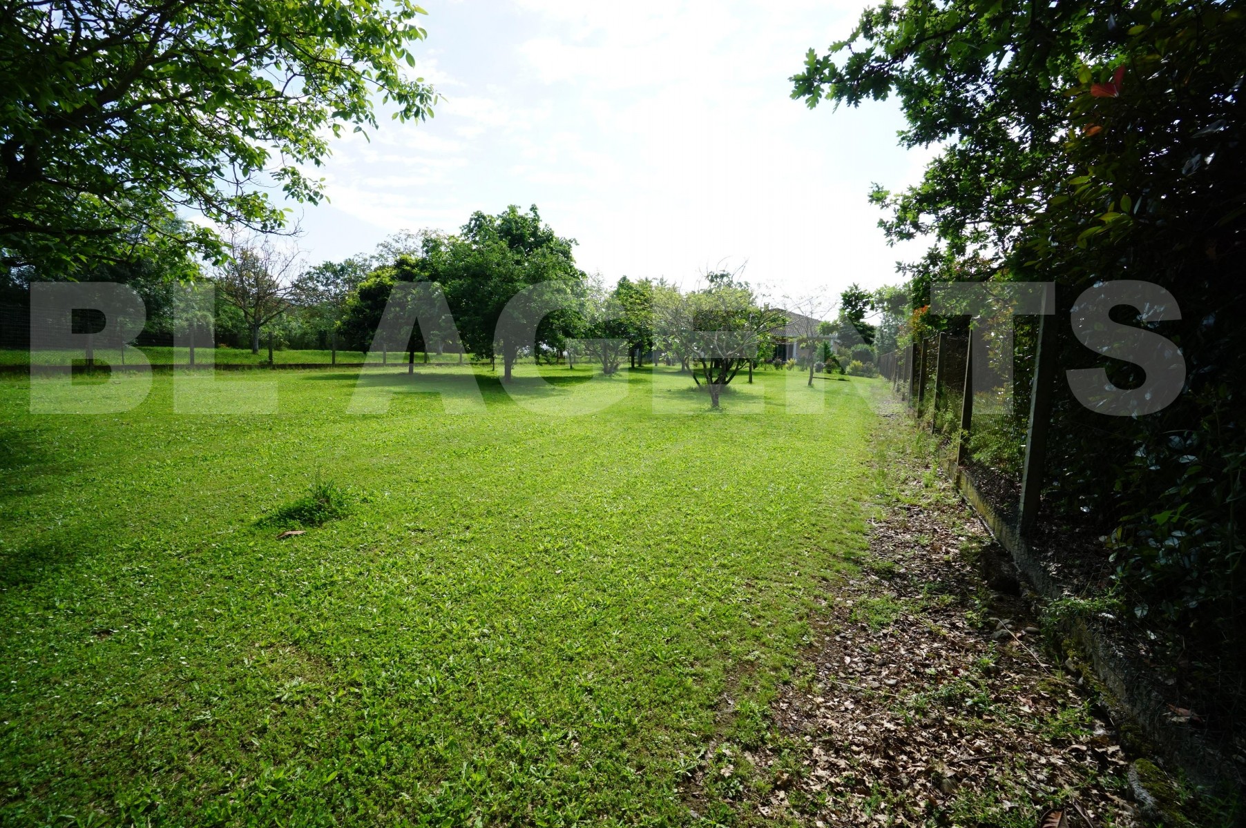 Terrain  TOURNEFEUILLE - Photo 3