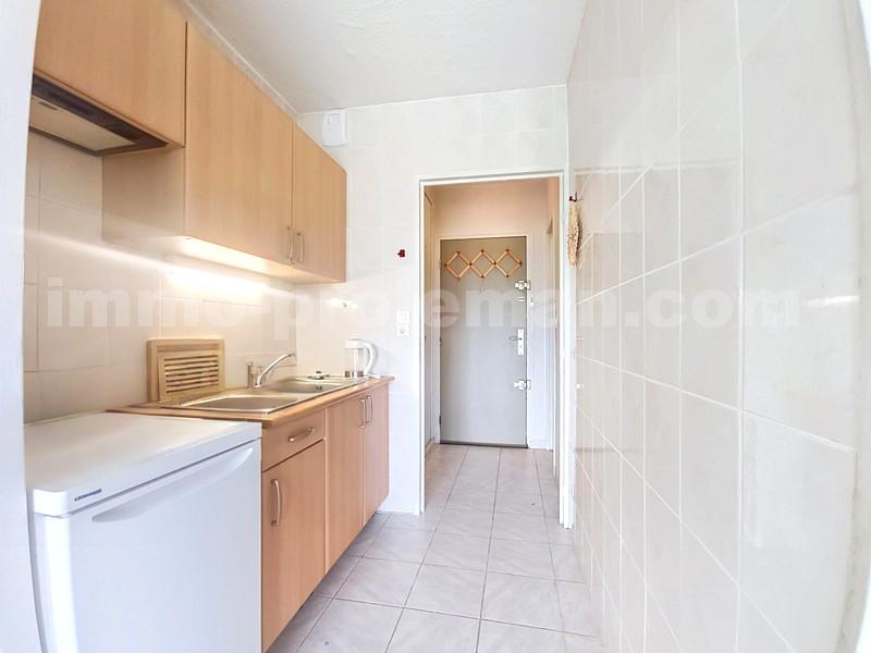 Appartement 1 Pièce(s) GAILLARD - Photo 3