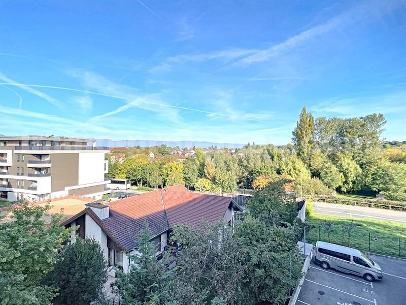 Appartement 3 Pièce(s) VILLE-LA-GRAND - Photo 10